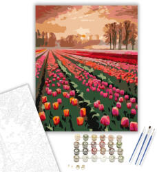 Számfestő Napkelte a Tulipánmező Felett - számfestő készlet - 40×50 cm (Keretre feszítve) (crea5801-40X50-KF)