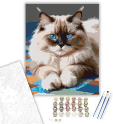  Ragdoll Macska Kék Szemekkel - számfestő készlet - 40×50 cm (Keretre feszítve)