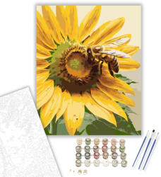  Méh Napraforgón - számfestő készlet - 40×50 cm (Keretre feszítve)