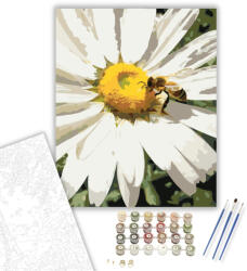  Méhecske és Margaréta Közelről - számfestő készlet - 40×50 cm (Keretre feszítve)