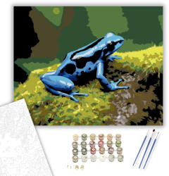  Kék Nyílméregbéka Mohás Kövön - számfestő készlet - 40×50 cm (Keretre feszítve)