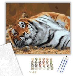 Számfestő Pihenő tigris - számfestő készlet - 40×50 cm (Keretre feszítve) (crea159-40X50-KF)