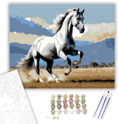  Felágaskodó Szürke Andalúz Ló - számfestő készlet - 40×50 cm (Keretre feszítve)