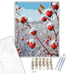  Havas Csipkebogyó Ágak - számfestő készlet - 40×50 cm (Keretre feszítve)