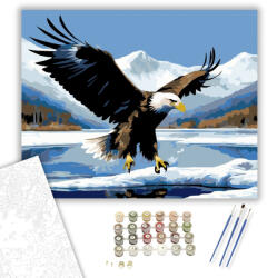  Fehérfejű Sas a Jeges Tavon - számfestő készlet - 40×50 cm (Keretre feszítve)