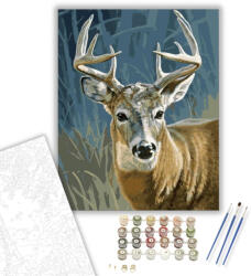 Számfestő Gímszarvas - számfestő készlet - 40×50 cm (Keretre feszítve) (crea522-40X50-KF)
