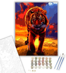 Számfestő Tigris vörösben - számfestő készlet - 40×50 cm (Keretre feszítve) (crea387-40X50-KF)