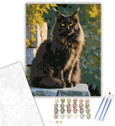  Fekete Maine Coon Kőfalon - számfestő készlet - 40×50 cm (Keretre feszítve)