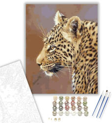 Számfestő Párduc - számfestő készlet - 40×50 cm (Keretre feszítve) (crea152-40X50-KF)