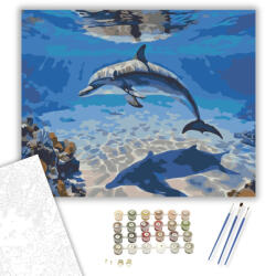 Számfestő Delfin az Óceán Mélyén - számfestő készlet - 40×50 cm (Keretre feszítve) (crea6166-40X50-KF)