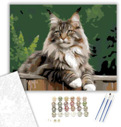 Büszke Maine Coon a Kerítésen - számfestő készlet - 80×100 cm (Keret nélkül)