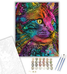 Számfestő Felis - számfestő készlet - 40×50 cm (Keretre feszítve) (cats010-40X50-KF)