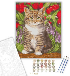  Tarka cica - számfestő készlet - 40×50 cm (Keretre feszítve)