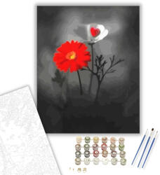 Számfestő Virágok az éjszakában - számfestő készlet - 40×50 cm (Keretre feszítve) (crea297-40X50-KF)