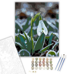 Számfestő Hóvirág a Tavaszi Fagyban - számfestő készlet - 40×50 cm (Keretre feszítve) (crea5985-40X50-KF)