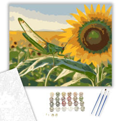 Számfestő Zöld Szöcske Napraforgón - számfestő készlet - 40×50 cm (Keretre feszítve) (crea6036-40X50-KF)