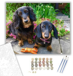  Tacskók - számfestő készlet - 40×50 cm (Keretre feszítve)