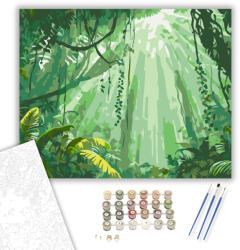  Tijuca Nemzeti Park Trópusi Reggel - számfestő készlet - 40×50 cm (Keretre feszítve)