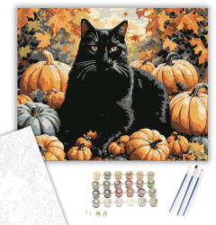  Fekete macska tökök között - számfestő készlet - 40×50 cm (Keretre feszítve)