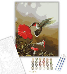 Számfestő Kolibri - számfestő készlet - 50×60 cm (Keretre feszítve) (crea120-50X60-KF)