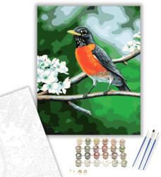  Madárka - számfestő készlet - 40×50 cm (Keretre feszítve)