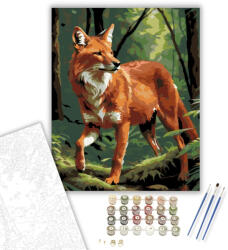  Dhole az Erdő Mélyén - számfestő készlet - 40×50 cm (Keretre feszítve)