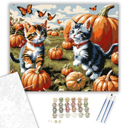  Játékos kiscicák és tökök - számfestő készlet - 40×50 cm (Keretre feszítve)