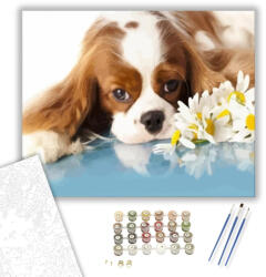  Unatkozó kiskutya - számfestő készlet - 40×50 cm (Keretre feszítve)