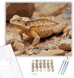  Apró Szarvas Gyík a Sivatagban - számfestő készlet - 40×50 cm (Keretre feszítve)