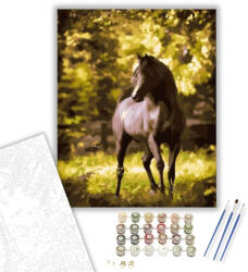  Paripa - számfestő készlet - 40×50 cm (Keretre feszítve)