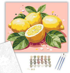  Citromok Rózsaszín Háttéren - számfestő készlet - 40×50 cm (Keretre feszítve)