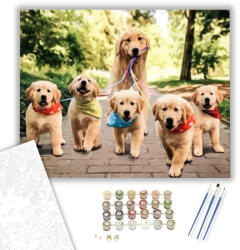 Számfestő Sétáltatás - számfestő készlet - 40×50 cm (Keretre feszítve) (crea570-40X50-KF)