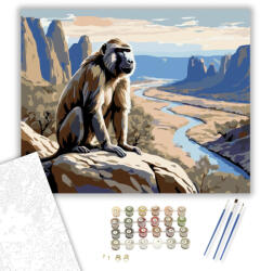  Pávián a Sziklás Folyóparton - számfestő készlet - 40×50 cm (Keretre feszítve)