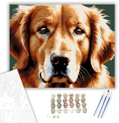  Golden Retriever Arcközelben - számfestő készlet - 40×50 cm (Keretre feszítve)