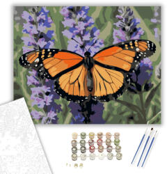  Narancsszárnyú Pillangó Levendulán - számfestő készlet - 40×50 cm (Keretre feszítve)