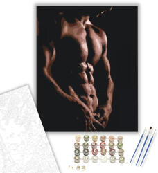 Számfestő Férfi felsőtest - számfestő készlet - 40×50 cm (Keretre feszítve) (crea1031-40X50-KF)
