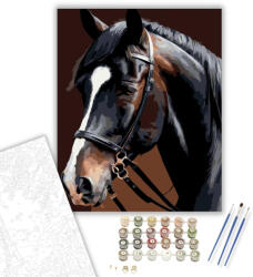  Fríz Ló Közeli Portré - számfestő készlet - 40×50 cm (Keretre feszítve)