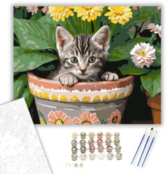 Számfestő Kíváncsi Cirmos Kiscica Virágcserépben - számfestő készlet - 40×50 cm (Keretre feszítve) (crea5899-40X50-KF)
