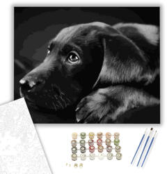  Fekete Labrador - számfestő készlet - 80×100 cm (Keretre feszítve)