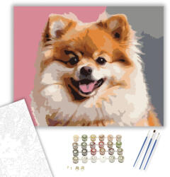 Számfestő Pomerániai Törpespicc Vidám Portré - számfestő készlet - 40×50 cm (Keretre feszítve) (crea5848-40X50-KF)