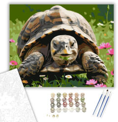 Számfestő Mosolygó Teknős Vadvirágok Között - számfestő készlet - 40×50 cm (Keretre feszítve) (crea6018-40X50-KF)