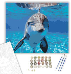  Mosolygó Delfin a Víz Alatt - számfestő készlet - 40×50 cm (Keretre feszítve)