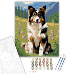  Collie Kiskutya a Vadvirágos Mezőn - számfestő készlet - 50×60 cm (Keretre feszítve)