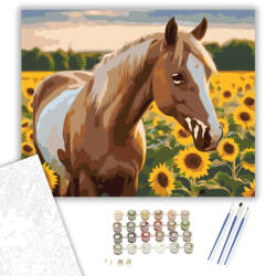  Palomino Ló Napraforgók Között - számfestő készlet - 40×50 cm (Keretre feszítve)