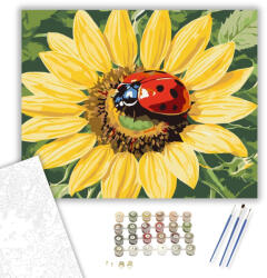 Számfestő Napraforgón Pihenő Katicabogár - számfestő készlet - 40×50 cm (Keretre feszítve) (crea6032-40X50-KF)