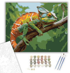  Színpompás Kaméleon Ágon - számfestő készlet - 40×50 cm (Keretre feszítve)