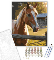  Palomino Ló a Hajnalban - számfestő készlet - 40×50 cm (Keretre feszítve)