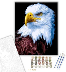  Sas tekintete - számfestő készlet - 40×50 cm (Keretre feszítve)