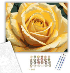 Számfestő Aranyló Sárga Rózsa - számfestő készlet - 40×50 cm (Keretre feszítve) (crea5613-40X50-KF)