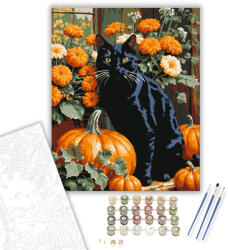  Fekete macska és tökök az őszi kertben - számfestő készlet - 40×50 cm (Keretre feszítve)